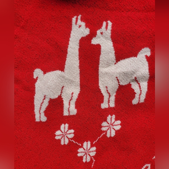 Llama Poncho Sweater - Picture 4 of 5